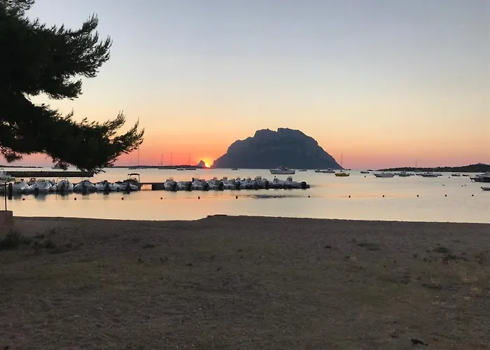 Daire Tavolara Paradise