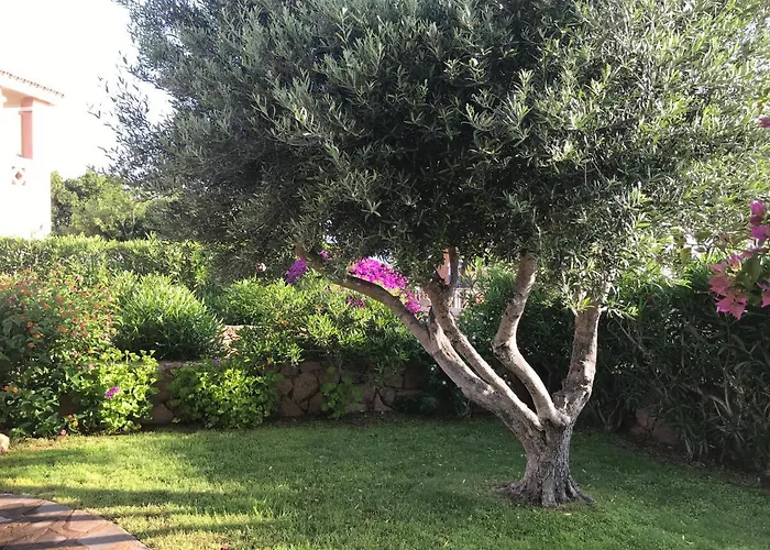 Daire Tavolara Paradise Porto San Paolo (Sardinia)