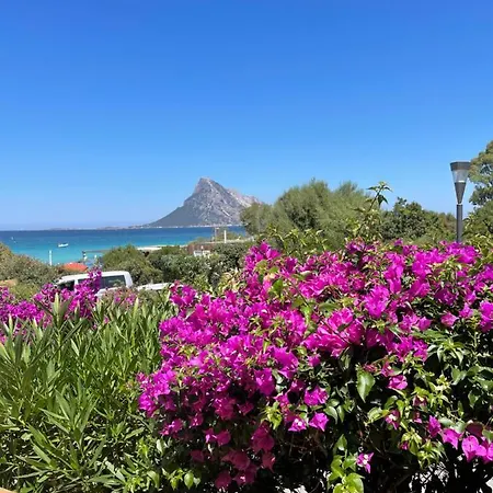 Tavolara Paradise Apartment Porto San Paolo (Sardinia)