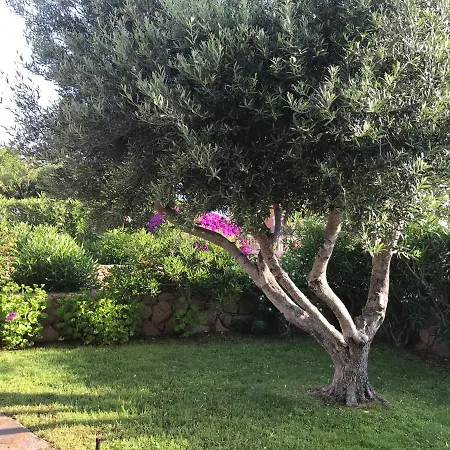 Apartment Tavolara Paradise Porto San Paolo (Sardinia)