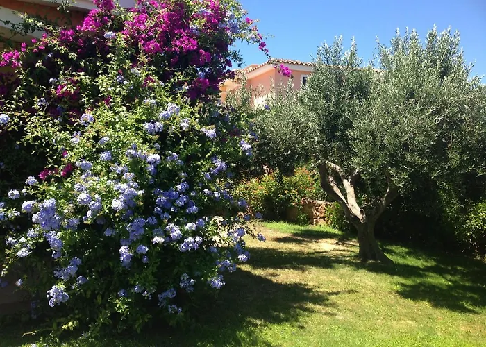 Tavolara Paradise * Porto San Paolo (Sardinia)