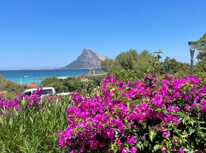 Tavolara Paradise Apartamento Porto San Paolo (Sardinia)